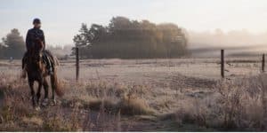 Siggesta Gård sätter fokus på kommunikation – vår tid största chefsutmaning?