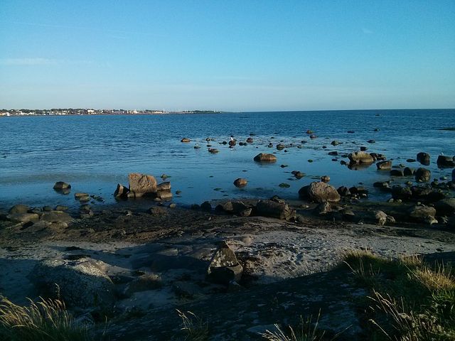 VD-assistent till stort företag i Göteborg