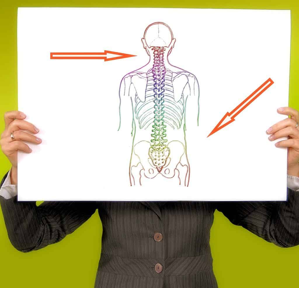 Ergonomens bästa tips till den stillasittande ledningsassistenten