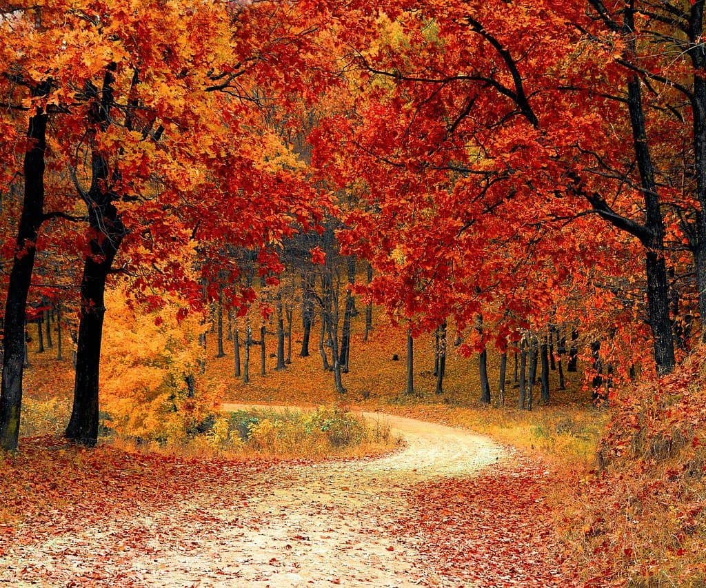 Ny rapport: Så mycket mer äger männen