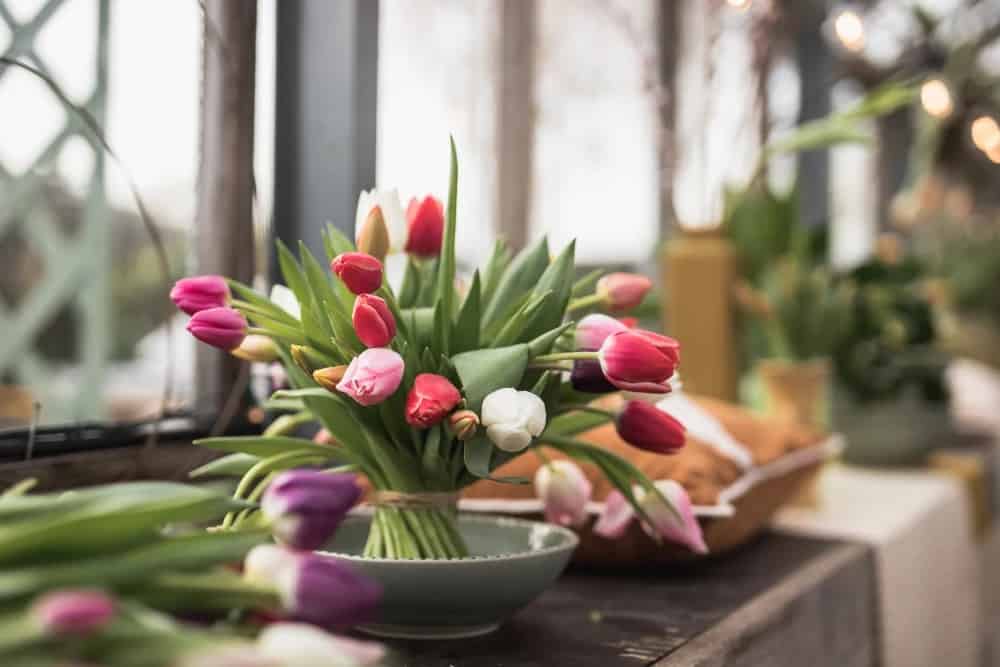 illakrz0uf1u6q1acigy Skapa magi med tulpaner