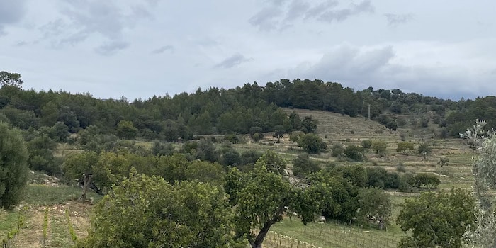 1 Tre dagar hållbart i Palma