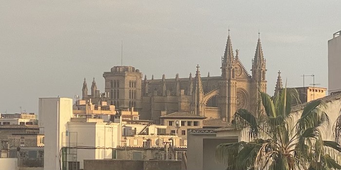 5 Tre dagar hållbart i Palma