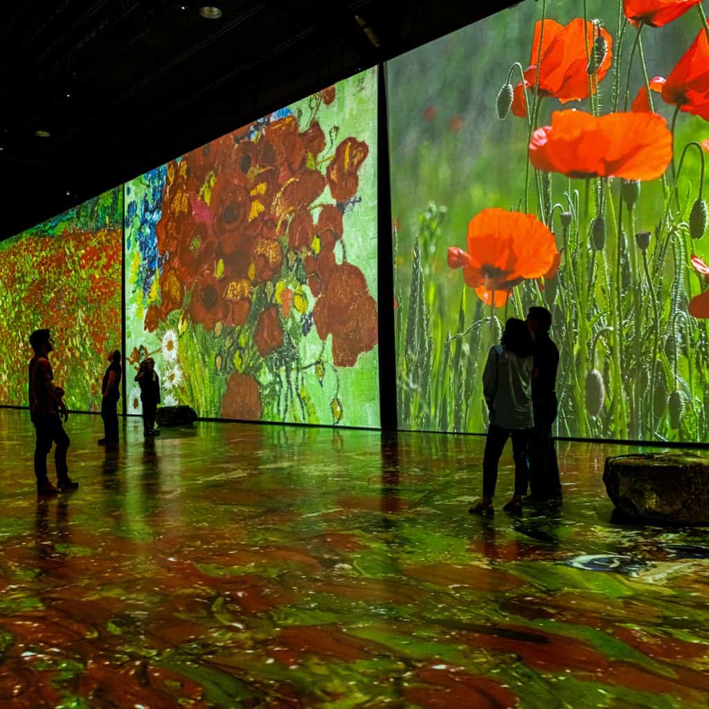 Ny immersiv konstupplevelse på Artipelag: 29 juni öppnar Imagine Van Gogh