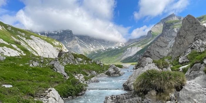 Ta ledningsgruppen till Schweiz! 