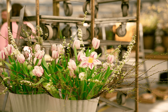 Dukning-Evelina-Carborn47 Så får du tulpanerna att hålla längre – enkla tips som gör skillnad