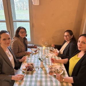 EA-mingel i Hagaparken – inspiration, nätverkande, härlig stämning och framtidens AI i fokus