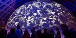 Välkommen till Mötesbaren på Tekniska museet – upplev Wisdome Stockholm