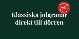 Foodora och Svenska granar ska se till att julgranarna levereras med q-fart!