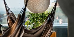 Varbergs Stadshotell öppnar upp takterrass med bastu